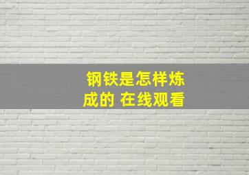 钢铁是怎样炼成的 在线观看